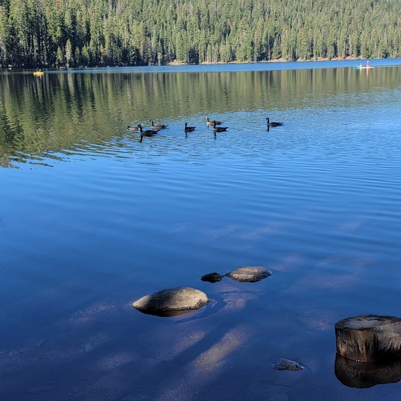 Meet your Posher, Matthew - Picture 2 of 2